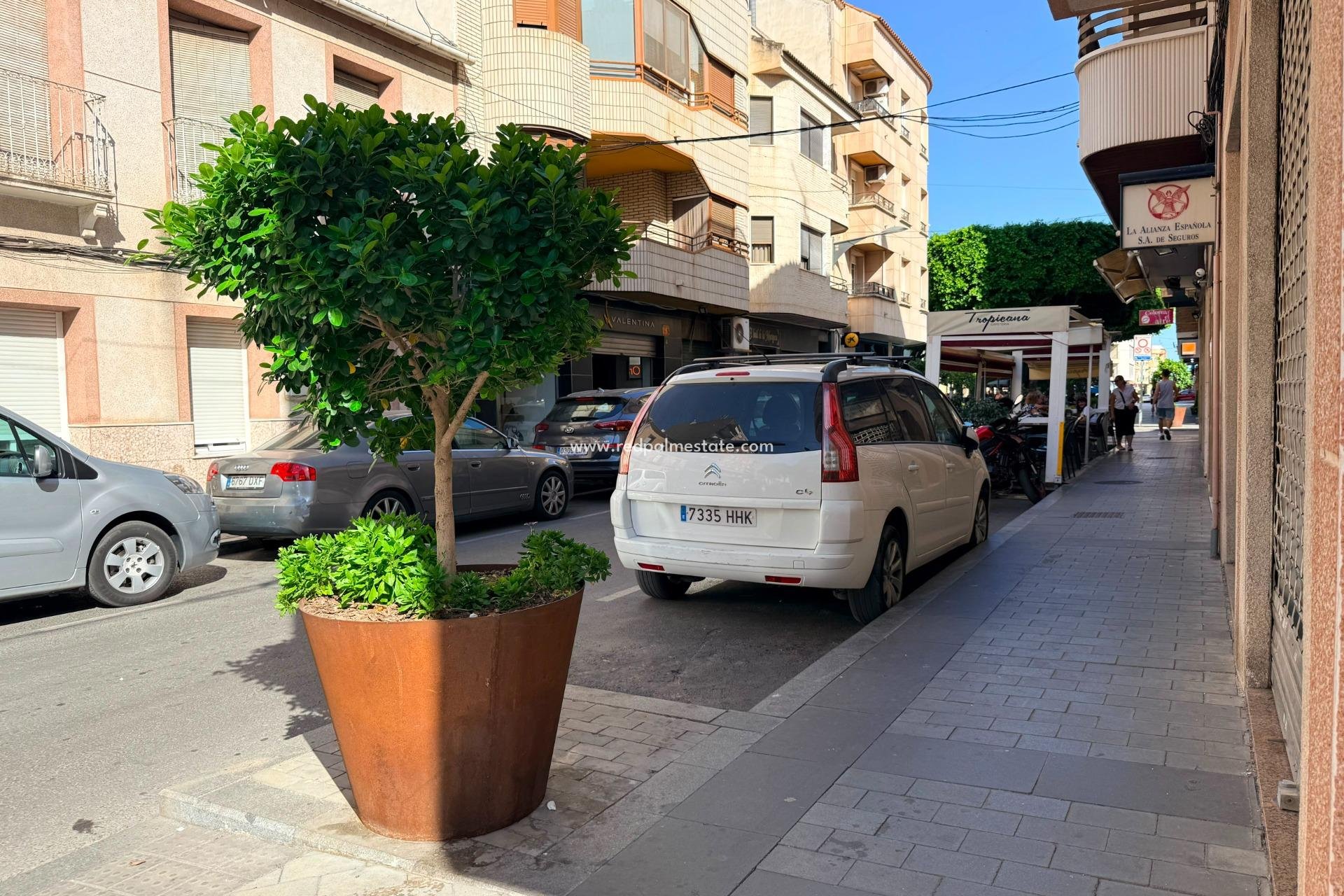 Nouvelle construction - Entreprise -
Almoradí