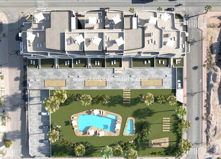 Nouvelle construction - ground-floor -
San Miguel de Salinas - San Miguel Salinas