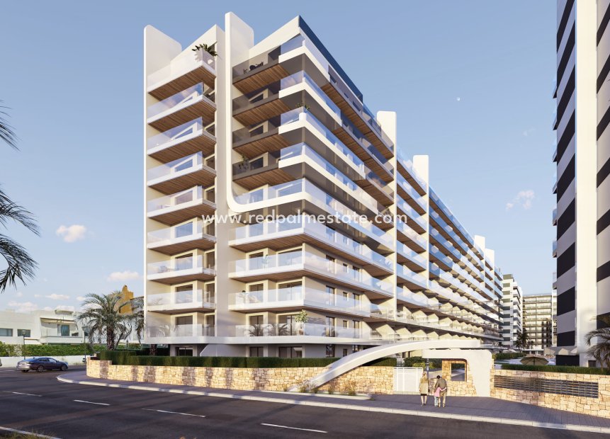 Nouvelle construction - ground-floor -
Torrevieja - Punta prima