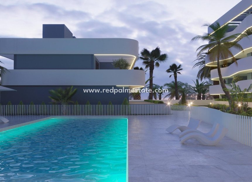 Nouvelle construction - Maison de ville -
Guardamar del Segura - El Raso