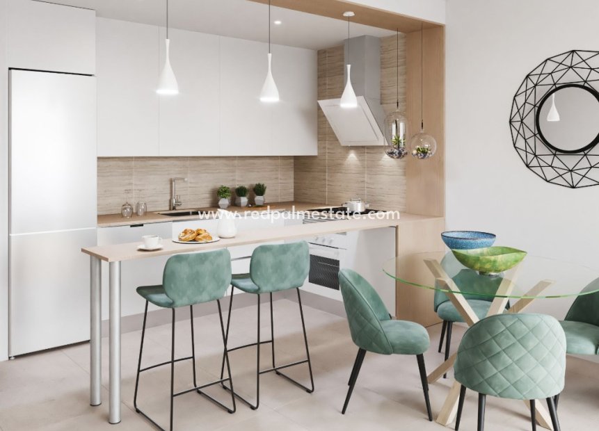 Nouvelle construction - Maison de ville -
Torre Pacheco - Torrepacheco