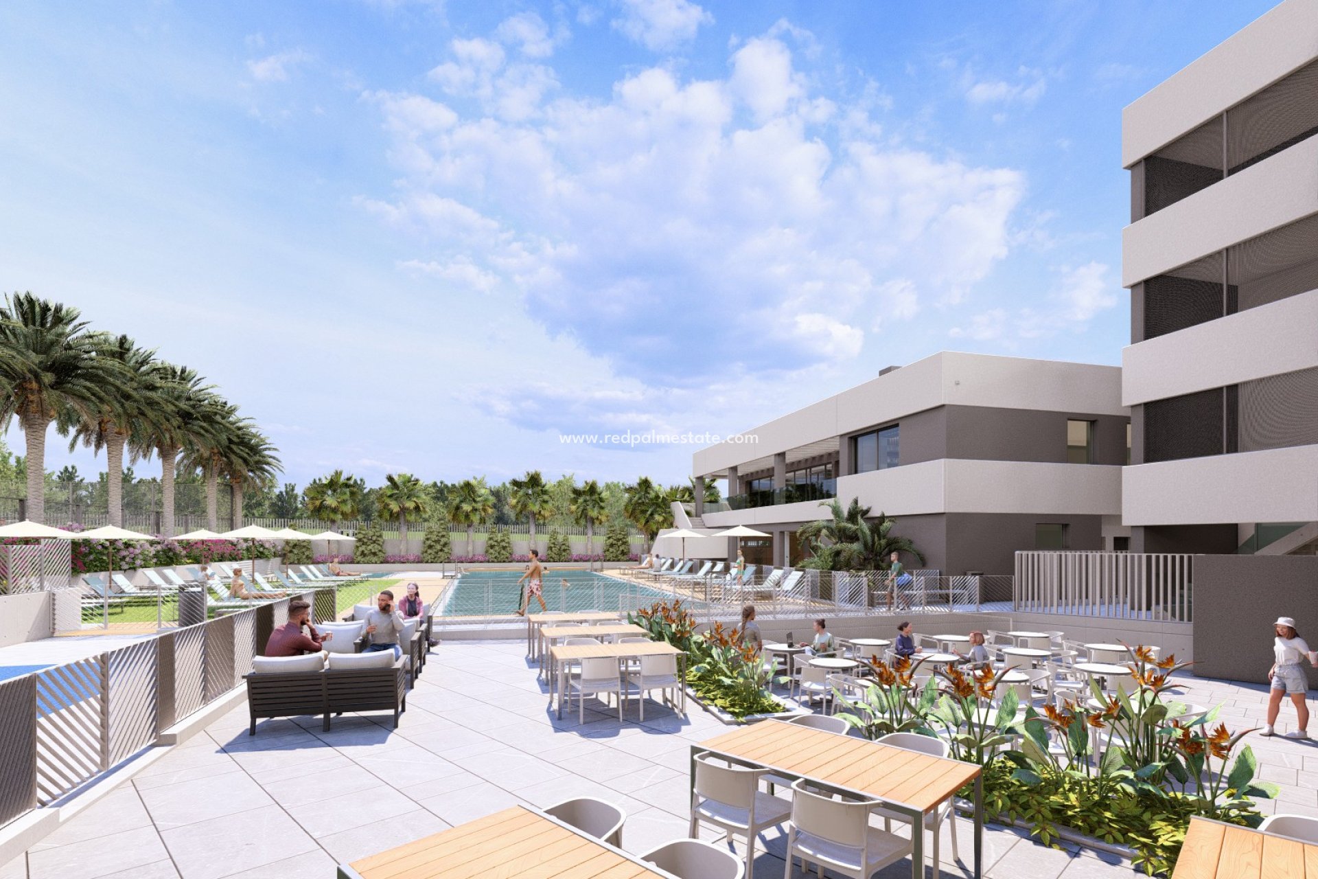 Nouvelle construction - Maison de ville -
Torrevieia - Lagoons Village