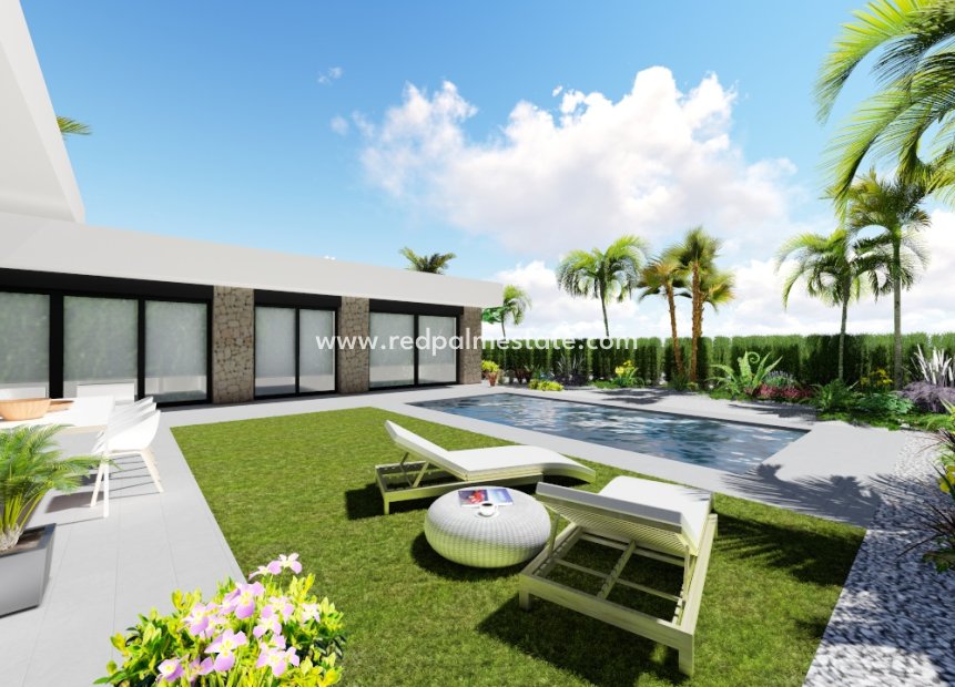 Nouvelle construction - Villa -
Calasparra