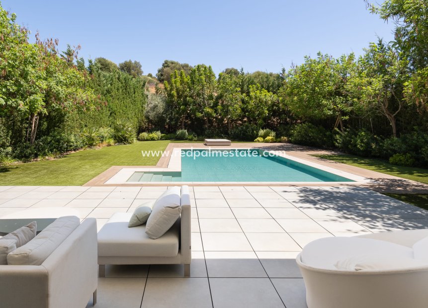 Nouvelle construction - Villa -
Estepona