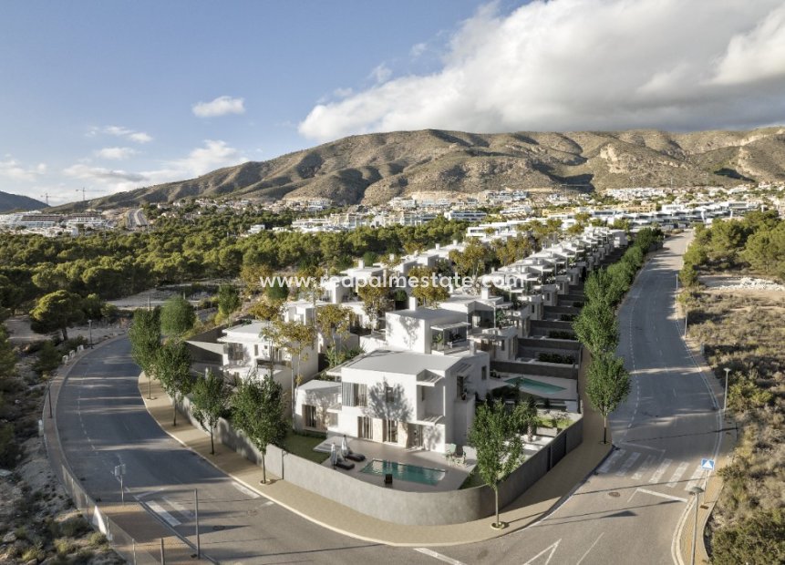 Nouvelle construction - Villa -
Finestrat