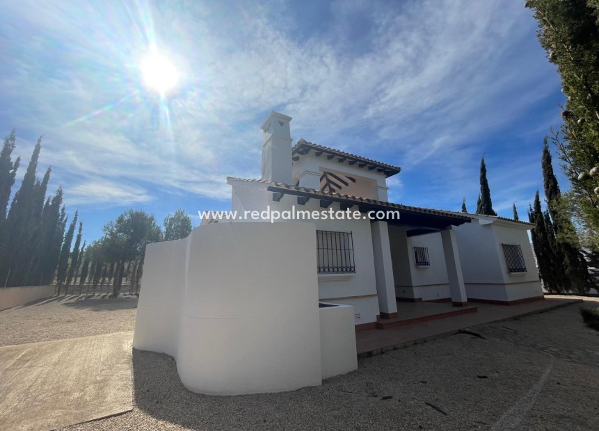 Nouvelle construction - Villa -
Fuente Álamo - Las Palas