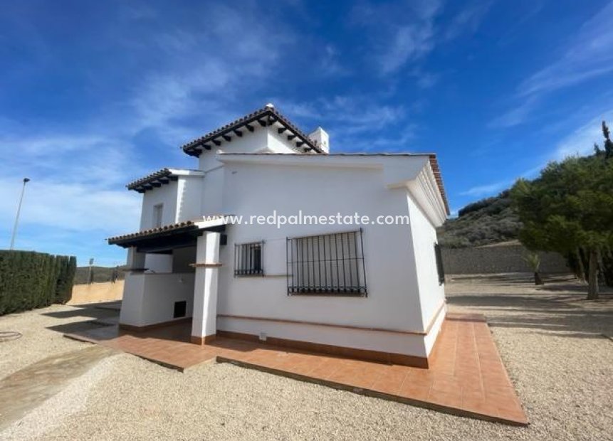 Nouvelle construction - Villa -
Fuente Álamo - Las Palas