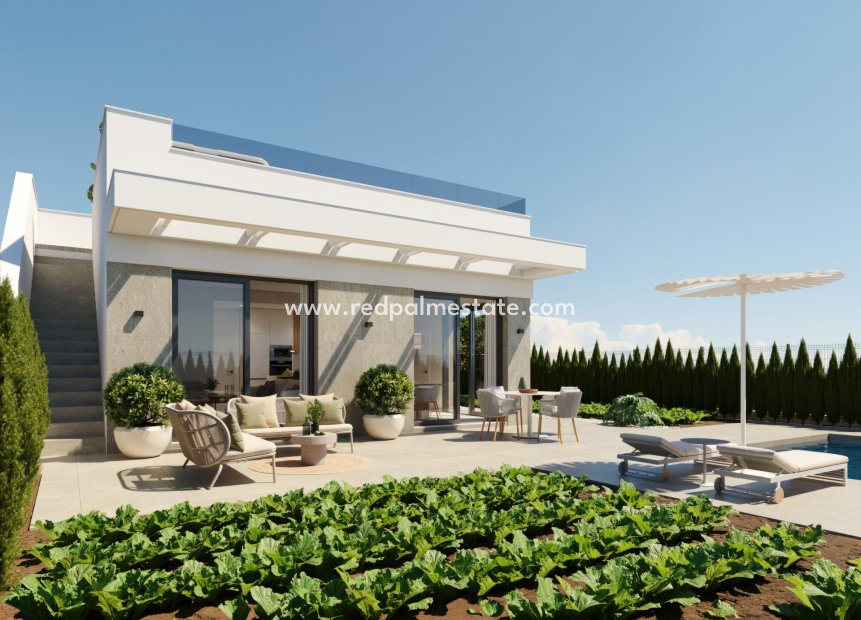 Nouvelle construction - Villa -
Hacienda del Alamo Golf