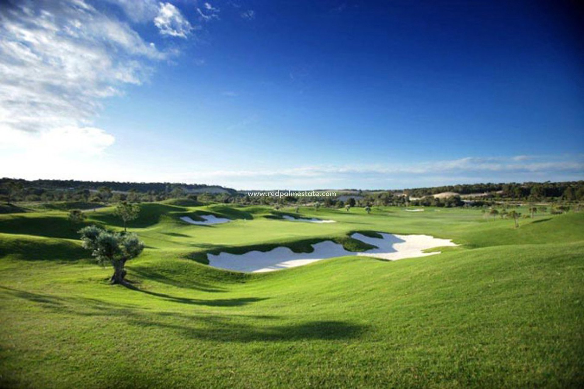 Nouvelle construction - Villa -
Las Colinas Golf