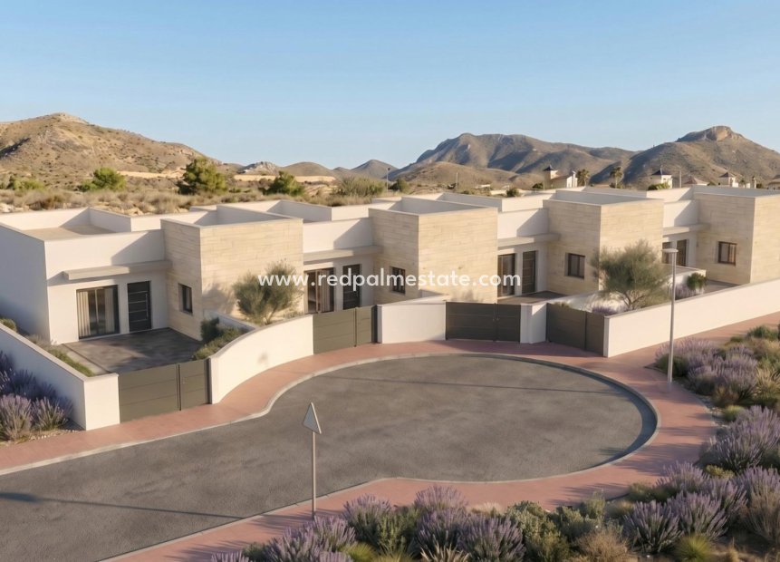 Nouvelle construction - Villa -
Mazarron - Country Club