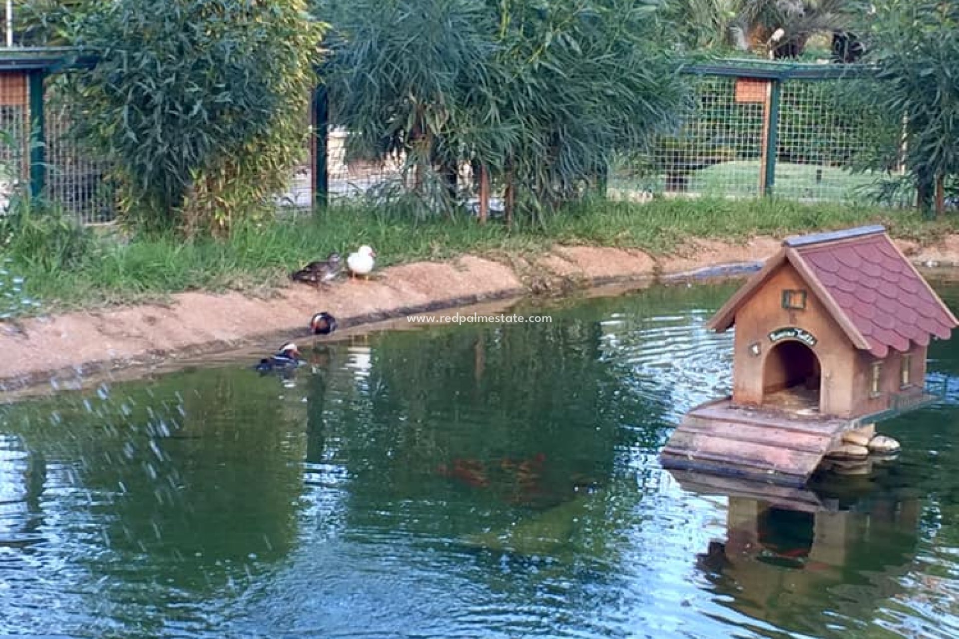 Nouvelle construction - Villa -
MURCIA - Murcia