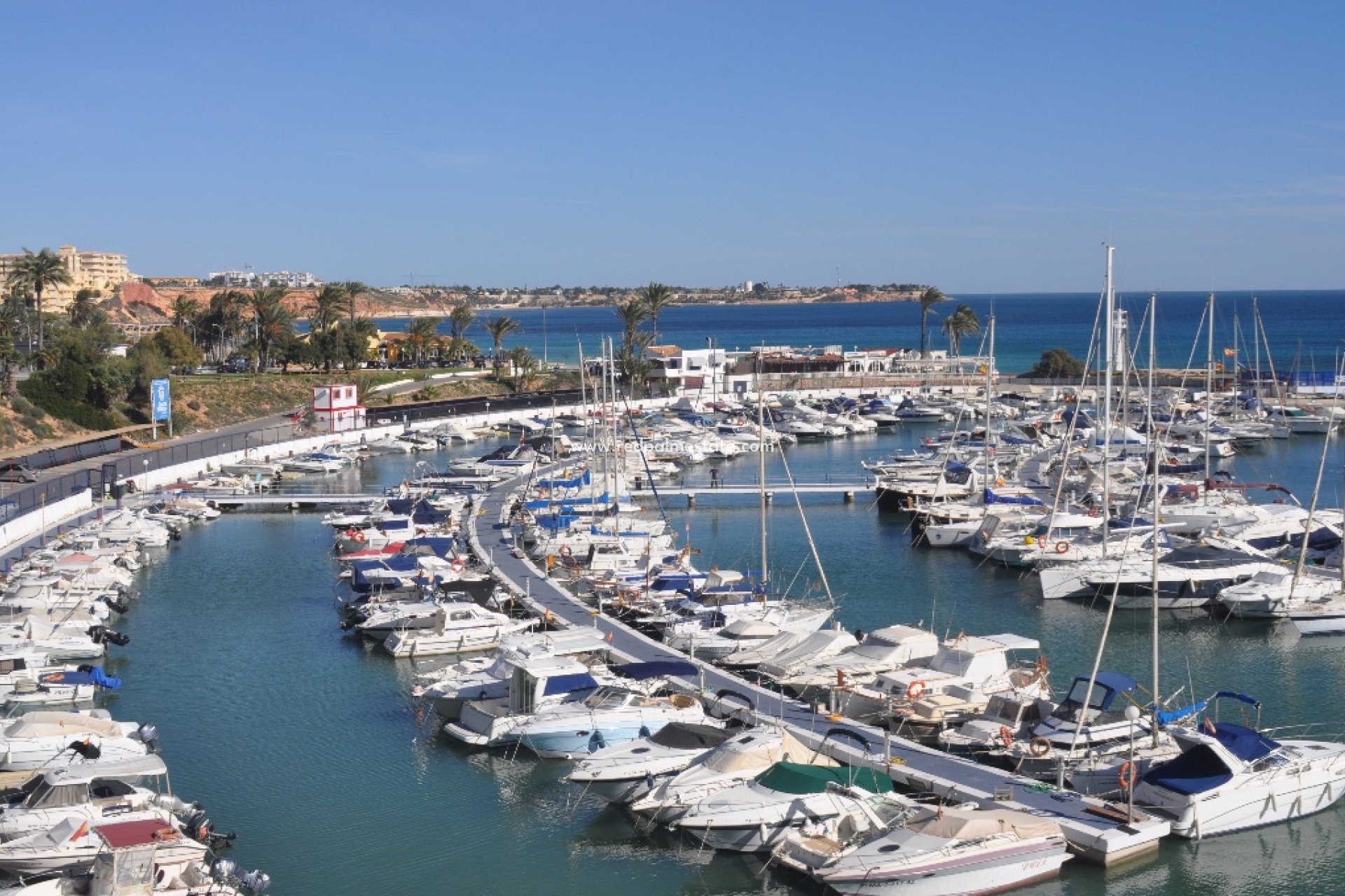 Nouvelle construction - Villa -
Orihuela Costa - Dehesa de campoamor