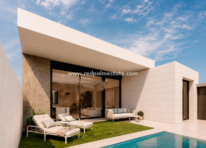Nouvelle construction - Villa -
Pilar de la Horadada - pueblo