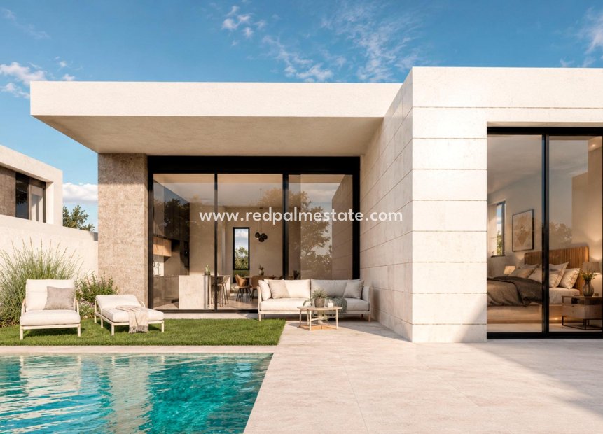 Nouvelle construction - Villa -
Pilar de la Horadada - pueblo