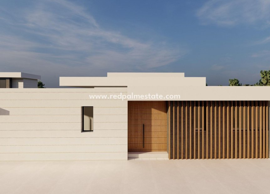 Nouvelle construction - Villa -
Pilar de la Horadada - pueblo