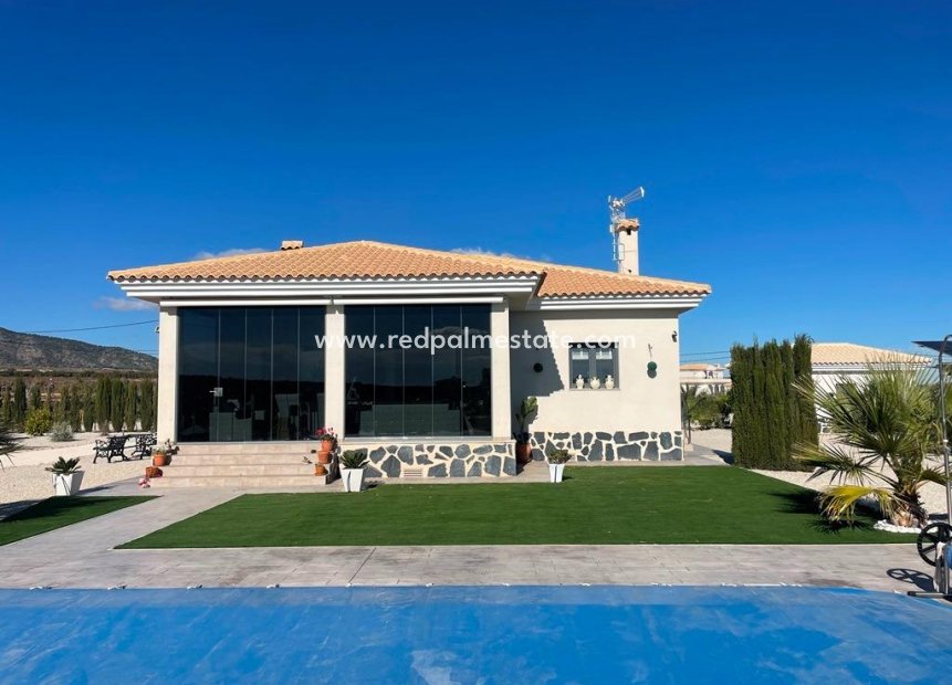 Nouvelle construction - Villa -
Pinoso - Camino Del Prado