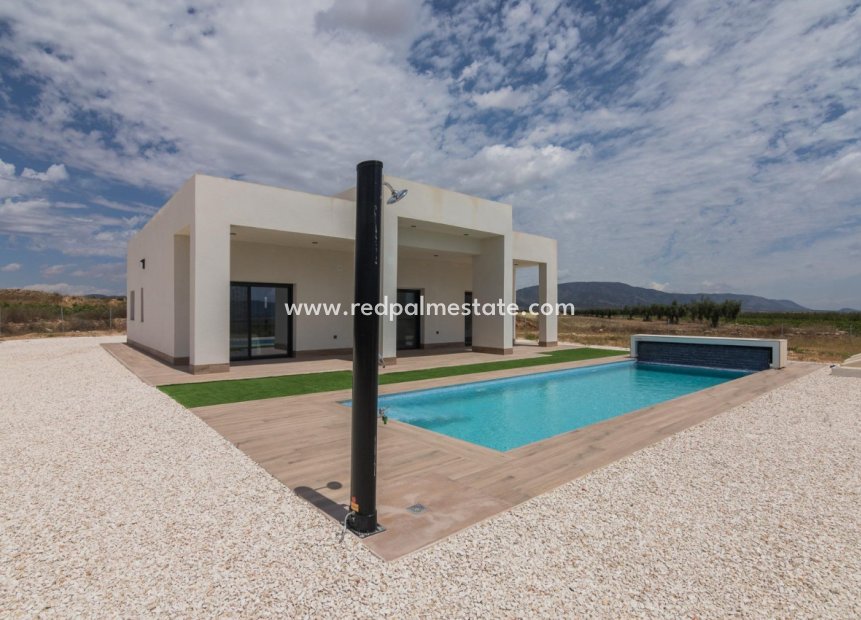 Nouvelle construction - Villa -
Pinoso - Campo