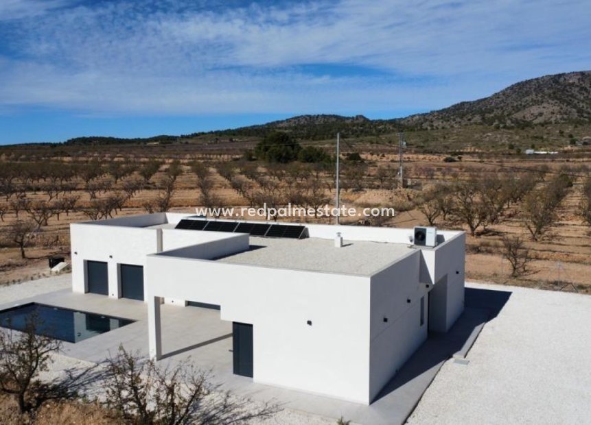 Nouvelle construction - Villa -
Pinoso - Campo