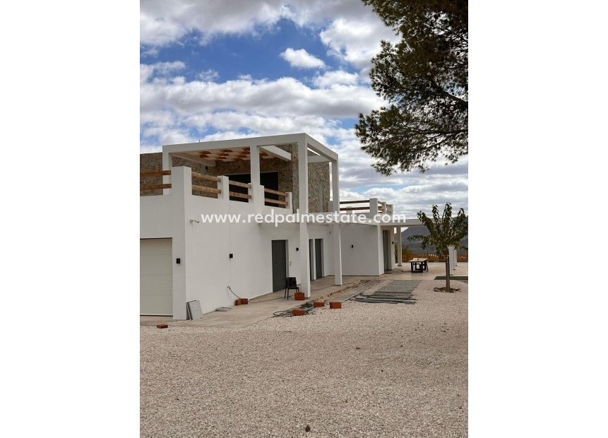 Nouvelle construction - Villa -
Pinoso - Casas Pastor