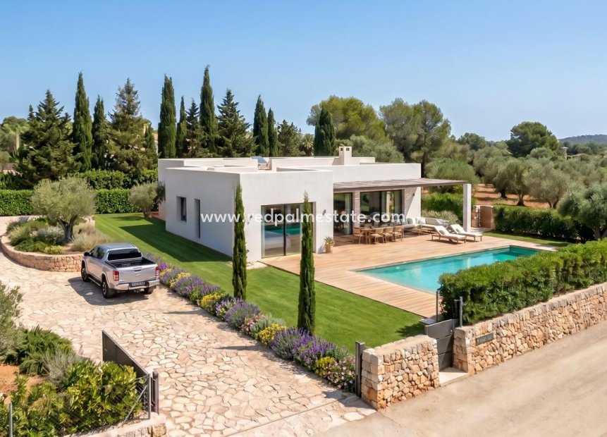 Nouvelle construction - Villa -
Pinoso - Casas Pastor