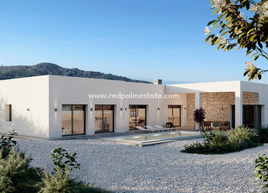 Nouvelle construction - Villa -
Pinoso - Lel