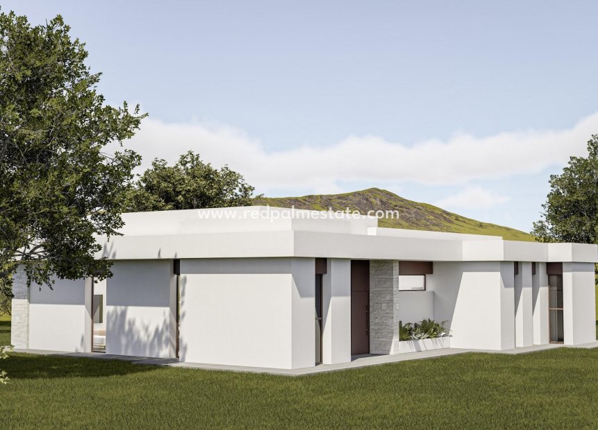 Nouvelle construction - Villa -
Pinoso - Lel