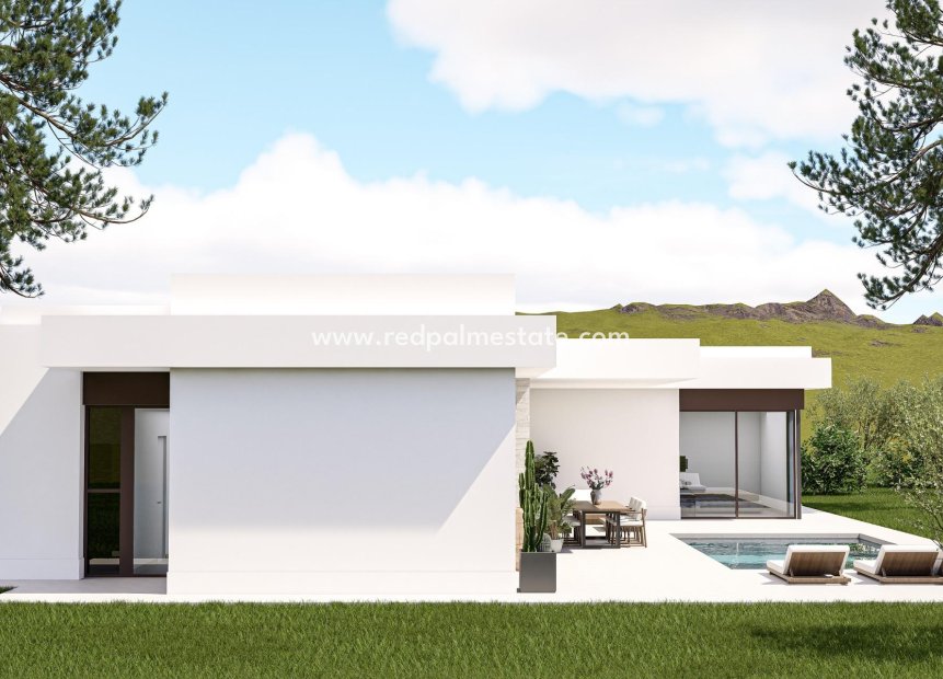 Nouvelle construction - Villa -
Pinoso - Lel