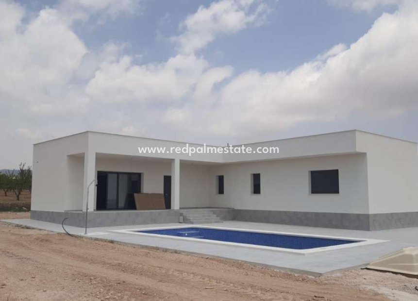 Nouvelle construction - Villa -
Pinoso