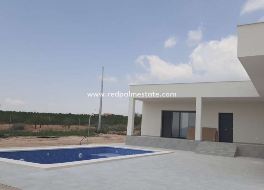 Nouvelle construction - Villa -
Pinoso