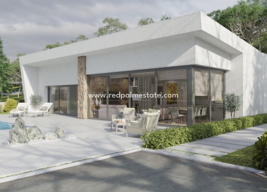 Nouvelle construction - Villa -
San Miguel de Salinas - San Miguel Salinas