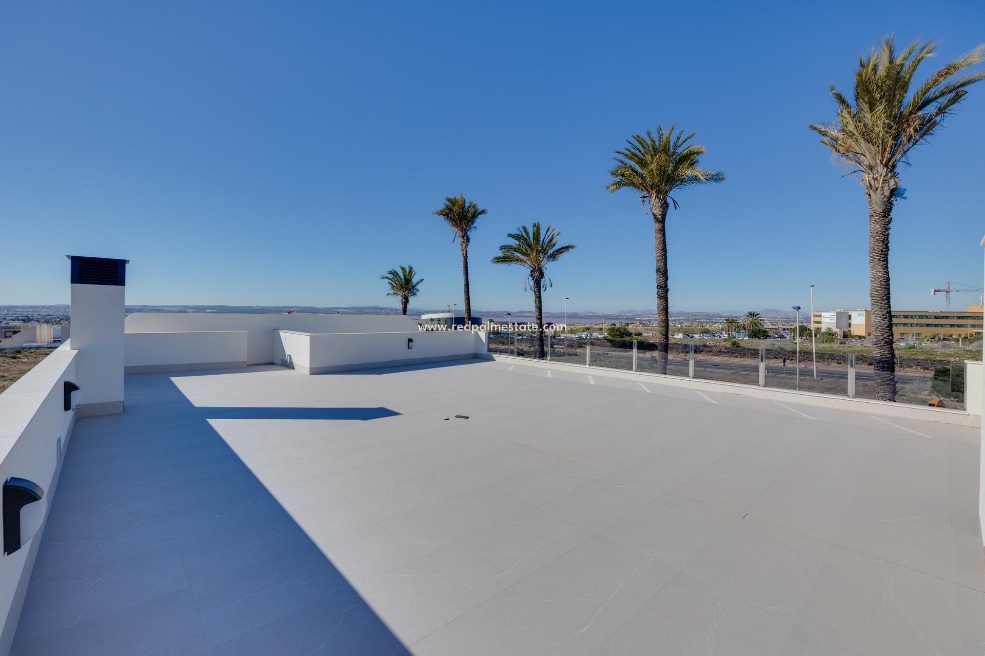 Nouvelle construction - Villa -
Torrevieja - Nueva Torrevieja - Aguas Nuevas