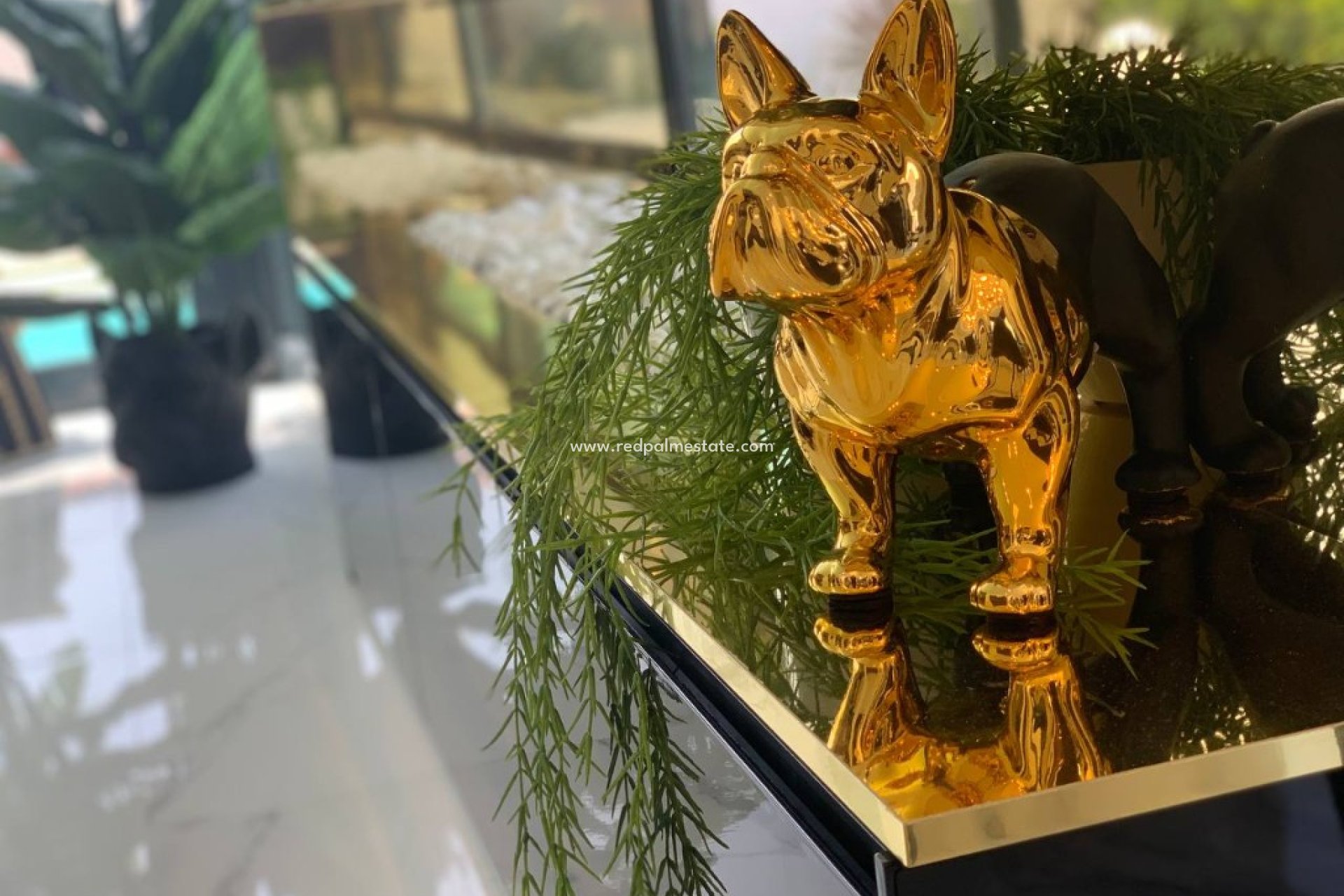 Nouvelle construction - Villa -
Torrevieja