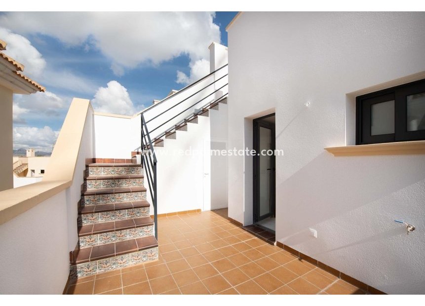 Nybygg - Bungalow -
Cox - San Fernando