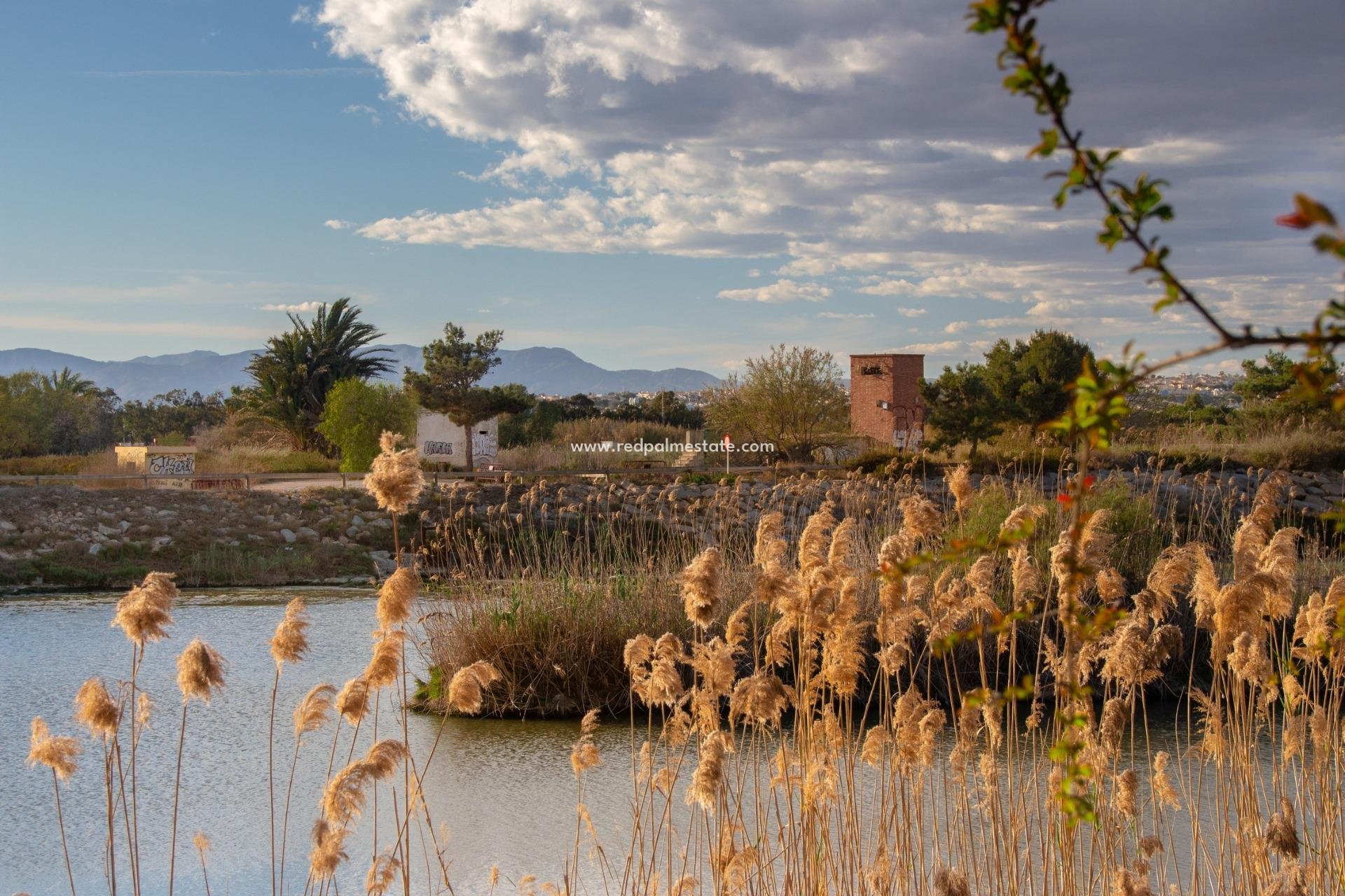 Nybygg - Bungalow -
Guardamar del Segura - Guardamar