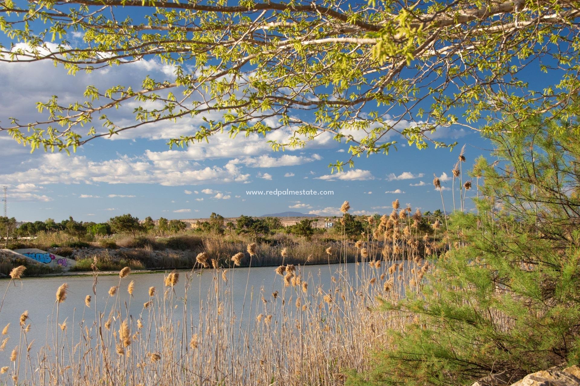 Nybygg - Bungalow -
Guardamar del Segura - Guardamar