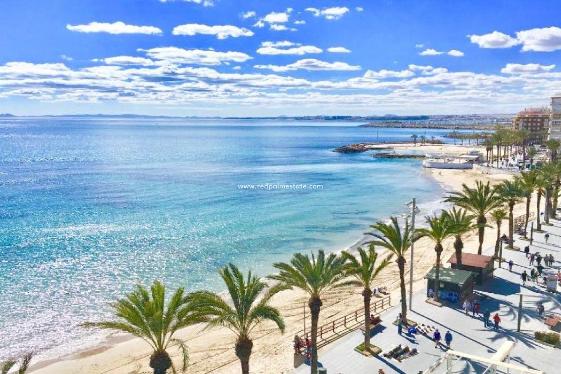 Nybygg - Bungalow -
Torrevieja - Lago Jardín II