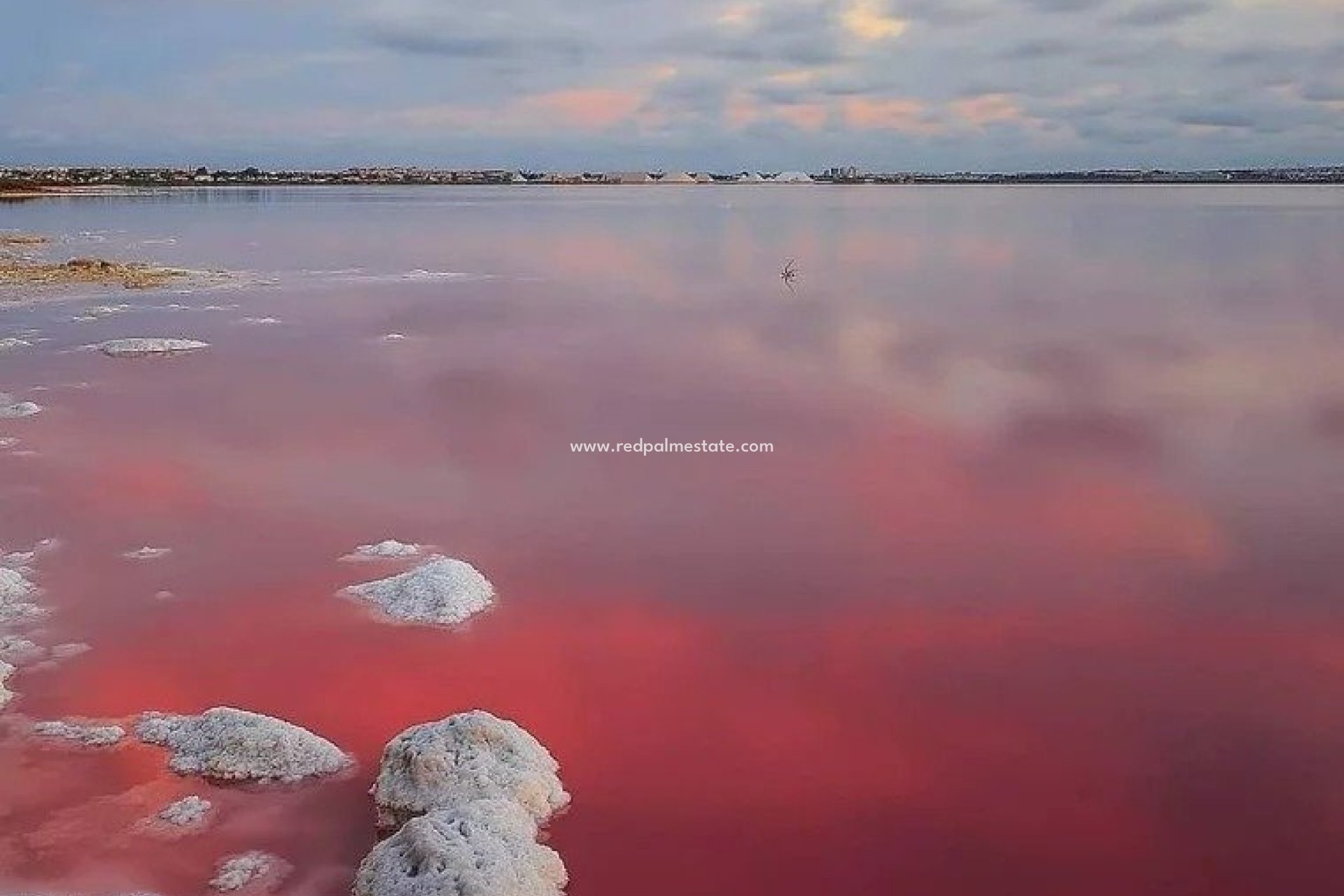 Nybygg - Bungalow -
Torrevieja - Lago jardin