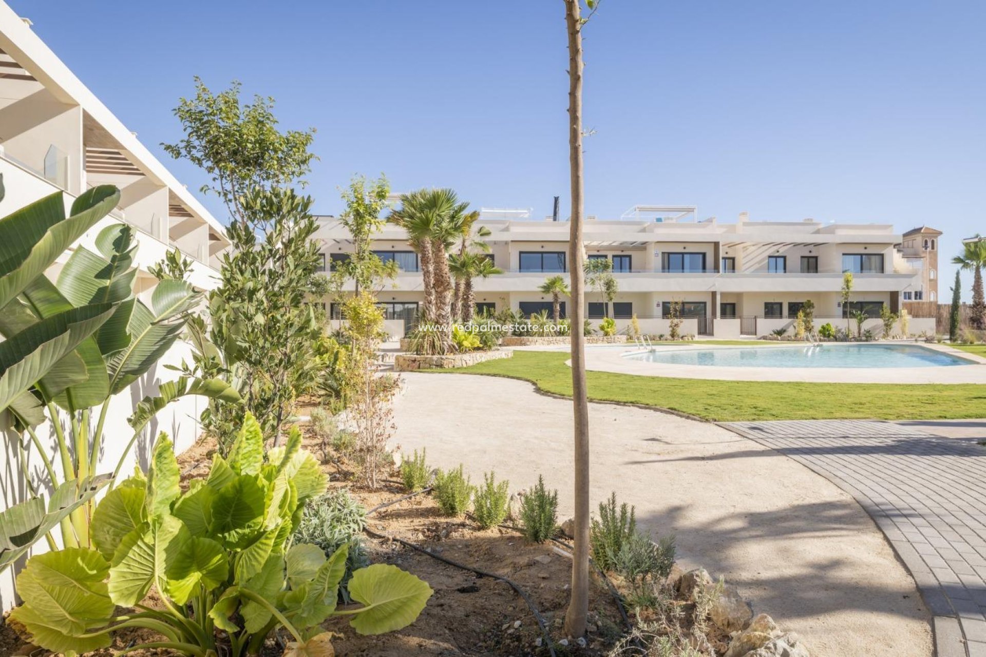 Nybygg - Bungalow -
Torrevieja - Villa Amalia