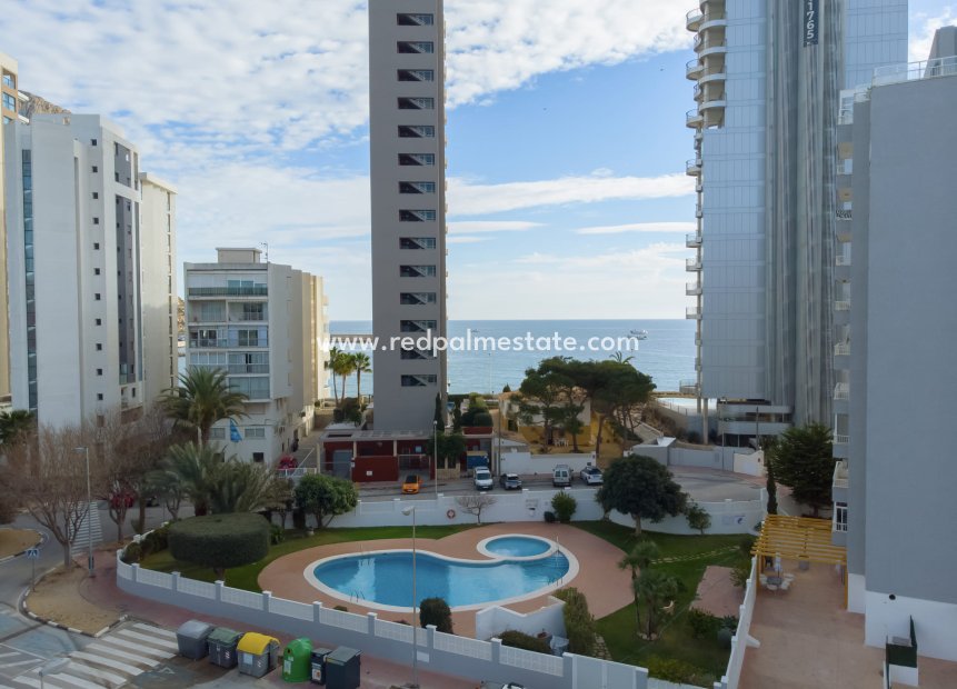 Nybygg - Leilighet -
Calpe