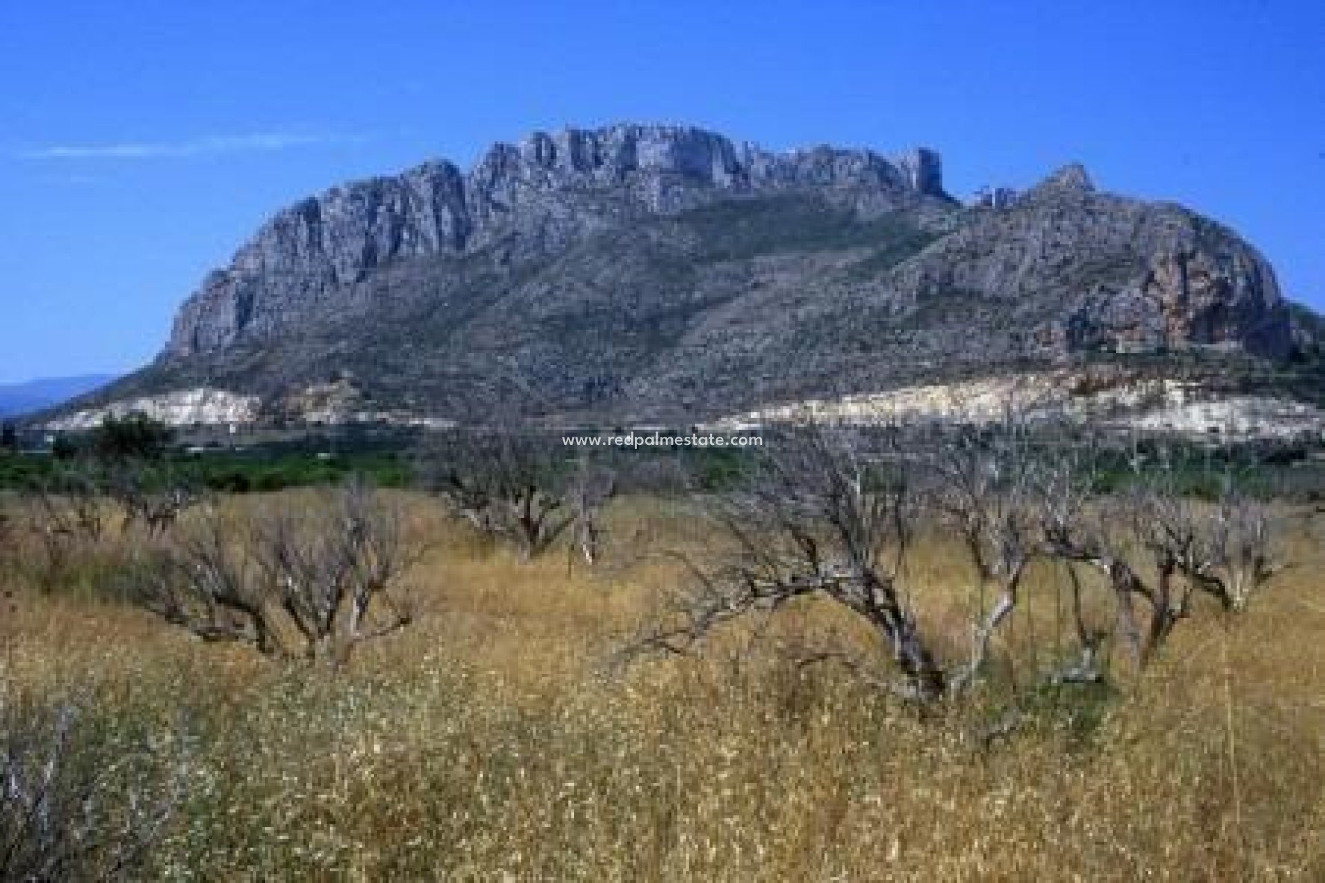 Nybygg - Leilighet -
El Verger - Zona De La Playa