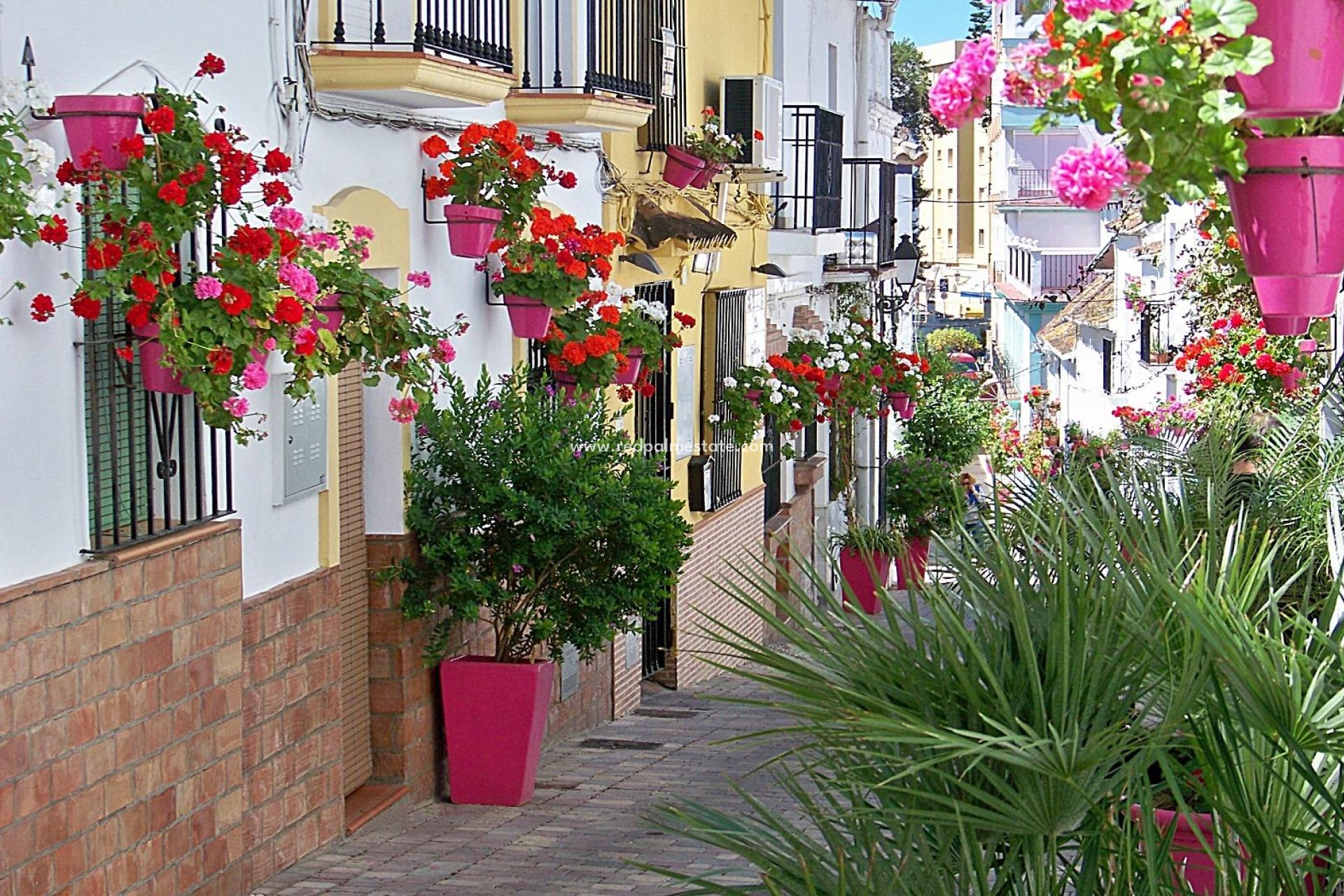 Nybygg - Leilighet -
Estepona - Buenas Noches