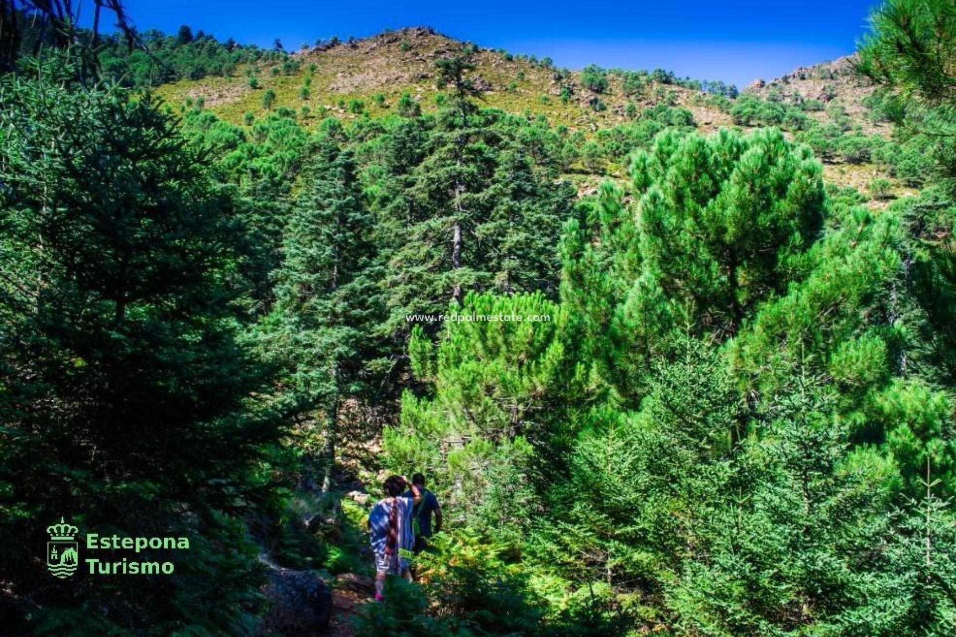 Nybygg - Leilighet -
Estepona - Playa de La Rada