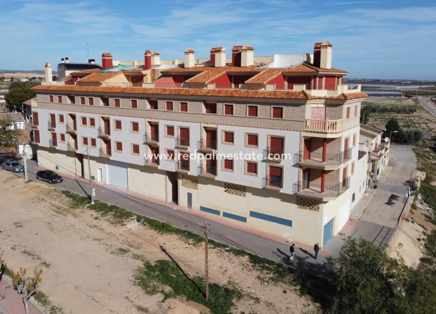 Nybygg - Leilighet -
Jerónimo y Avileses