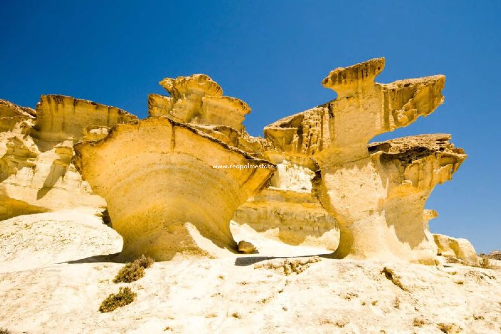 Nybygg - Leilighet -
La Manga