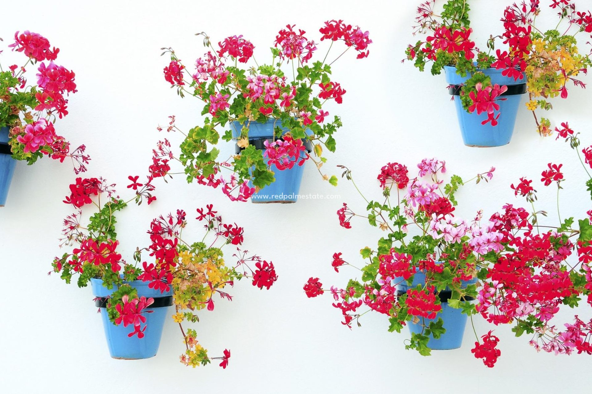 Nybygg - Leilighet -
Mijas - La Noria Golf