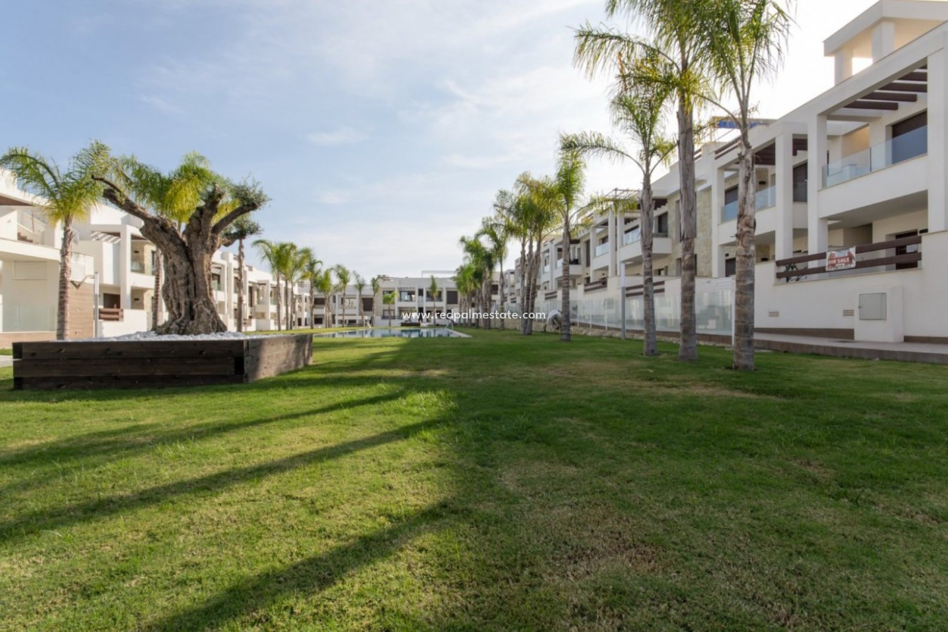 Nybygg - Leilighet -
Torrevieja - Los Balcones