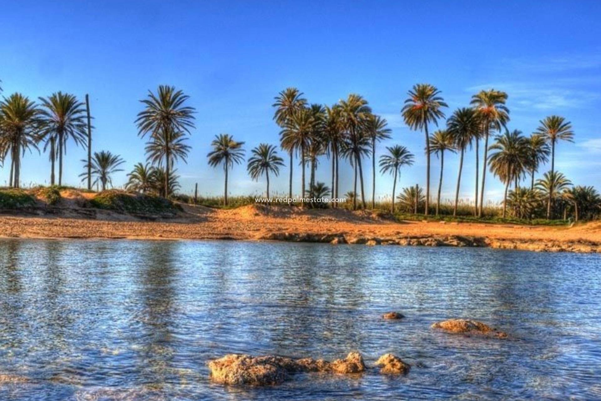 Nybygg - Leilighet -
Torrevieja - Playa de El Cura