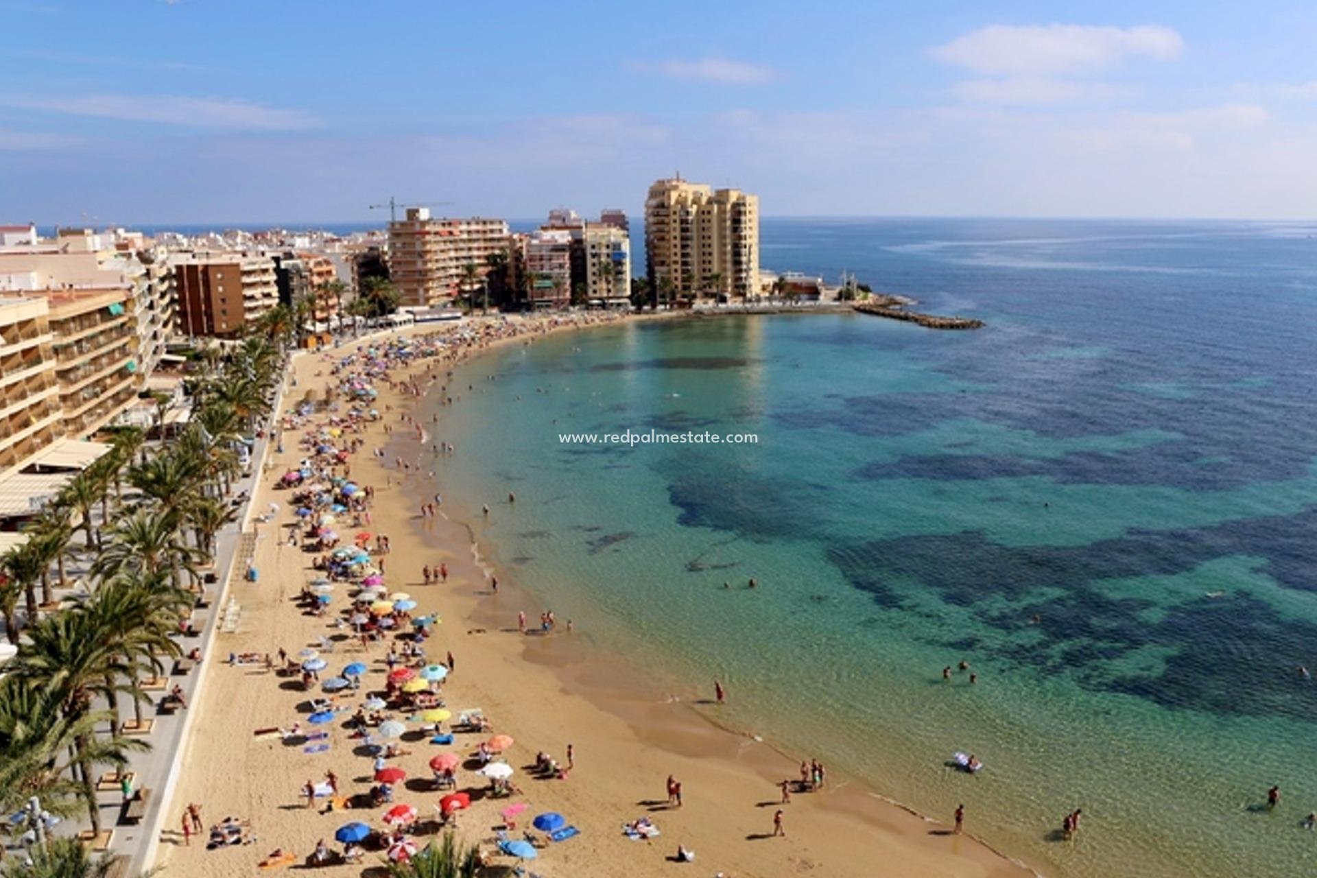 Nybygg - Leilighet -
Torrevieja - Playa del Cura