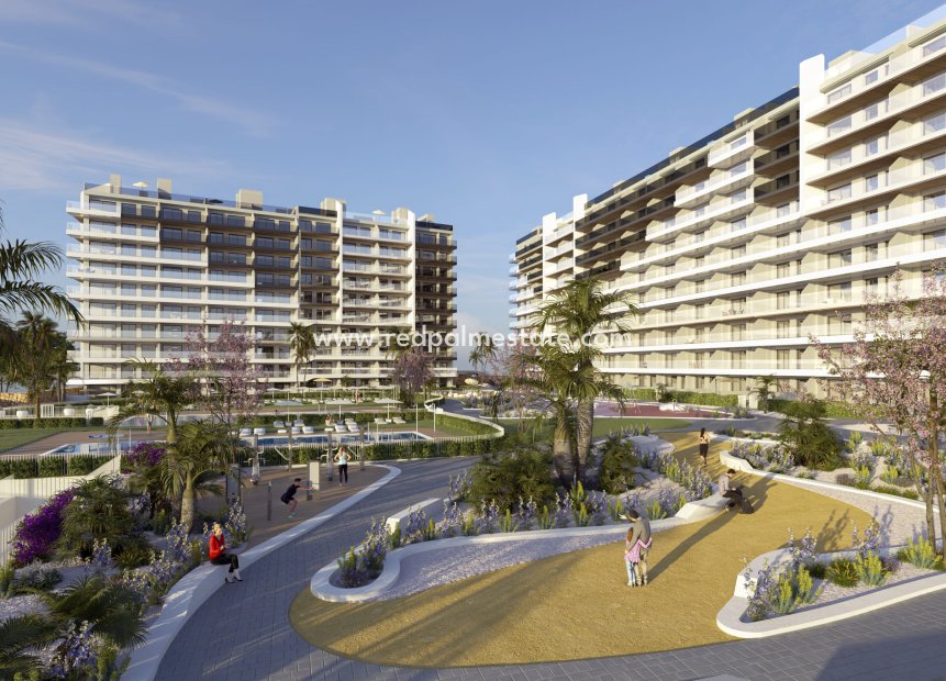 Nybygg - Leilighet -
Torrevieja - Punta prima