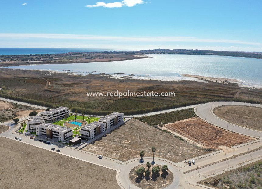Nybygg - Leiligheter -
Guardamar del Segura - Guardamar